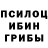 Галлюциногенные грибы Magic Shrooms frizivsky