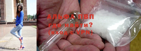 бошки Богданович