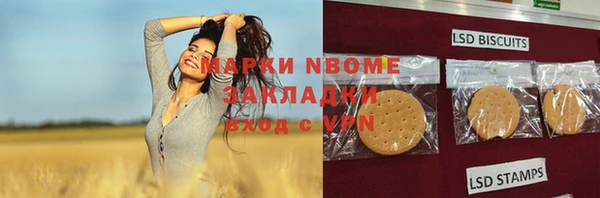 mix Богородицк