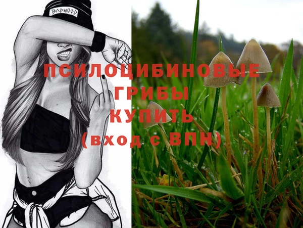 mix Богородицк