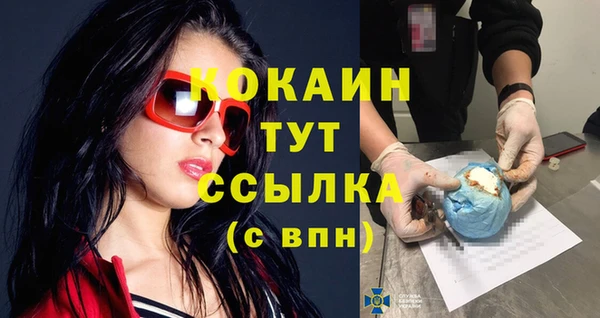 mix Богородицк