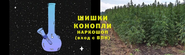mix Богородицк