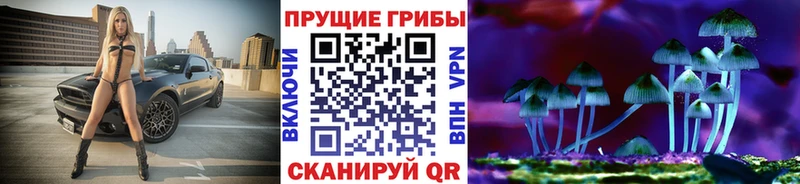 Галлюциногенные грибы Magic Shrooms  Венёв 